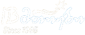 IBMthiebi